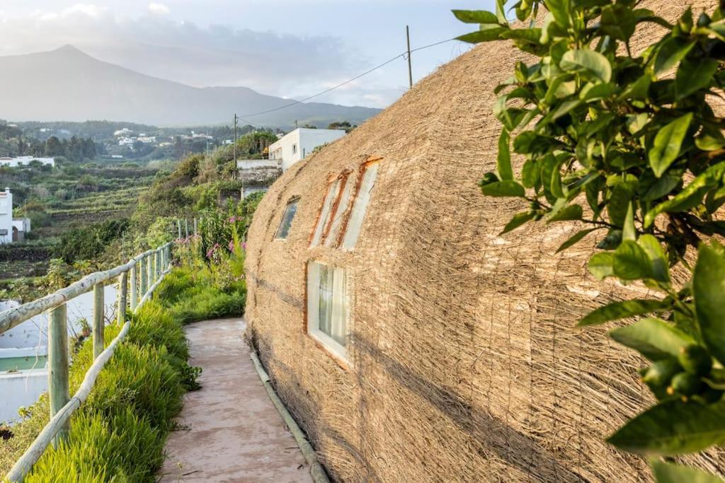 Espacio Antares Icod De Los Vinos Εξωτερικό φωτογραφία