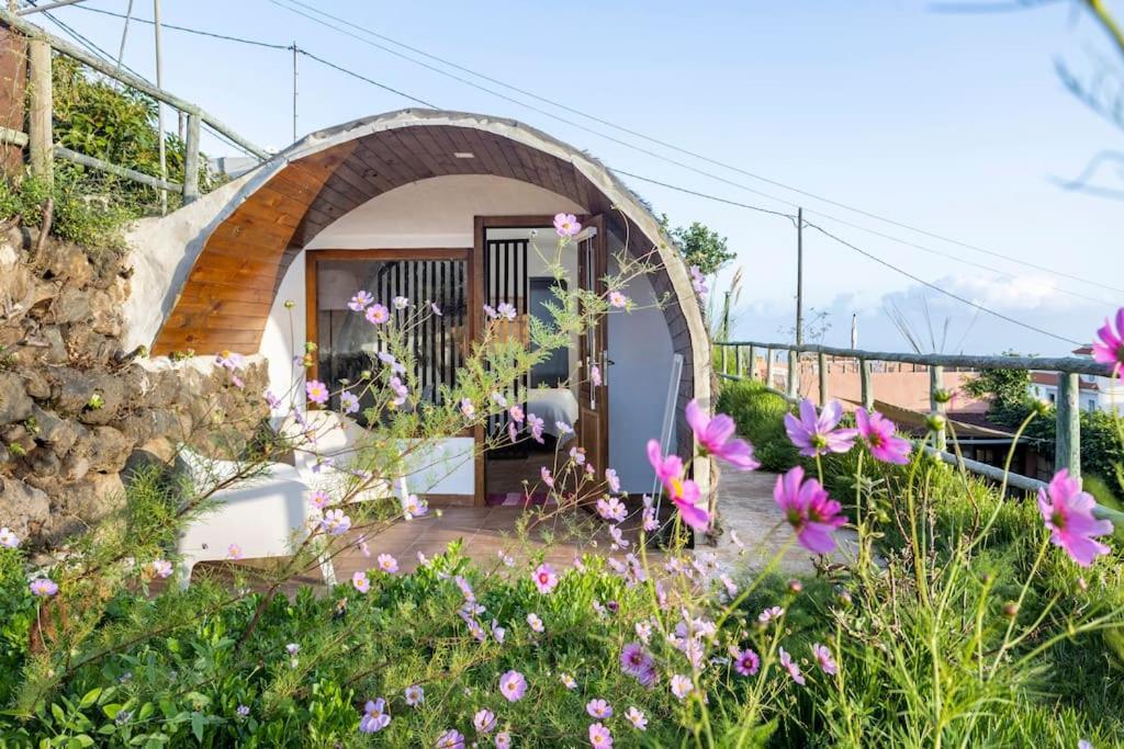 Espacio Antares Icod De Los Vinos Εξωτερικό φωτογραφία